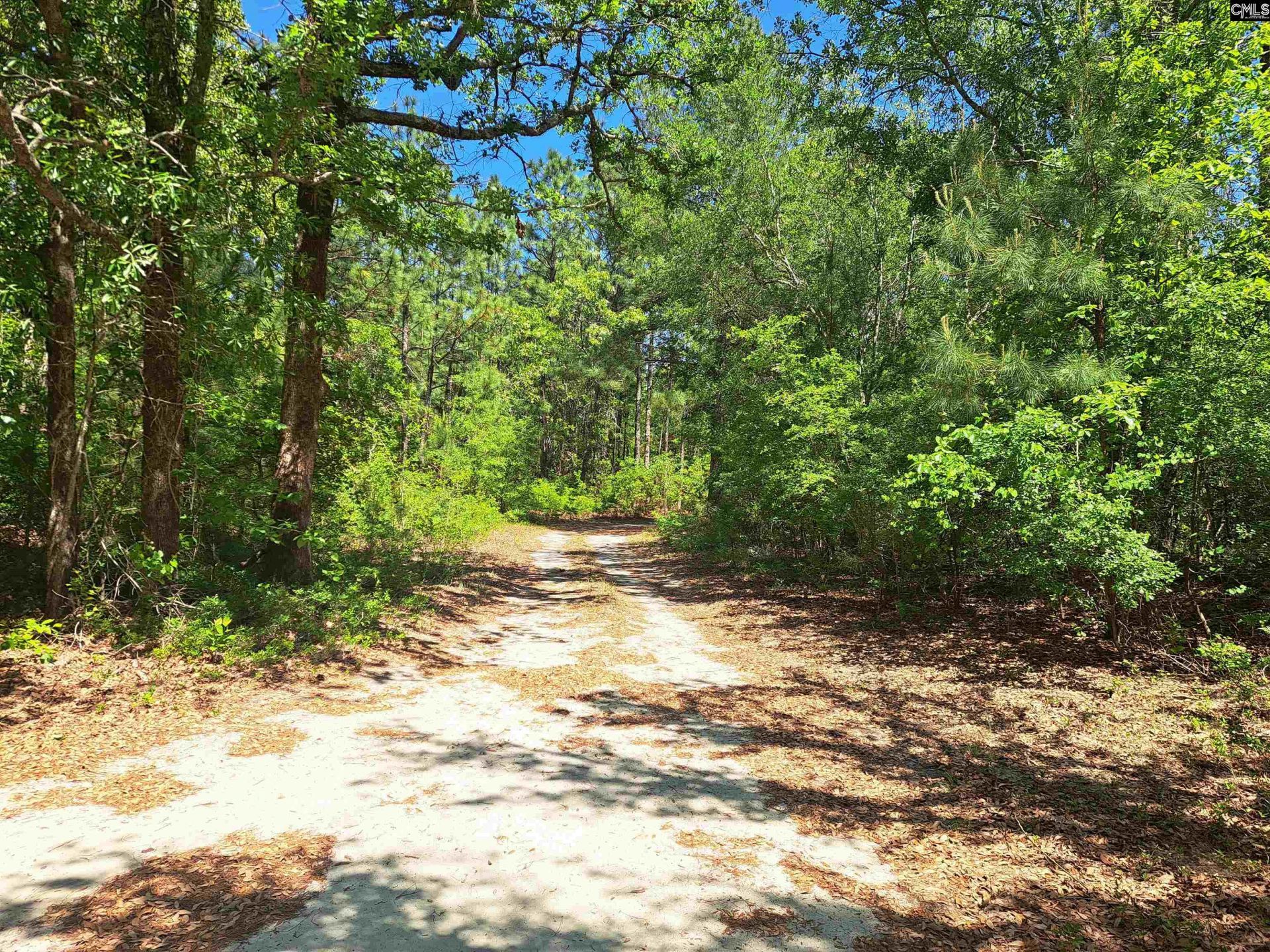 270 Migrant Camp Road  Photo 25