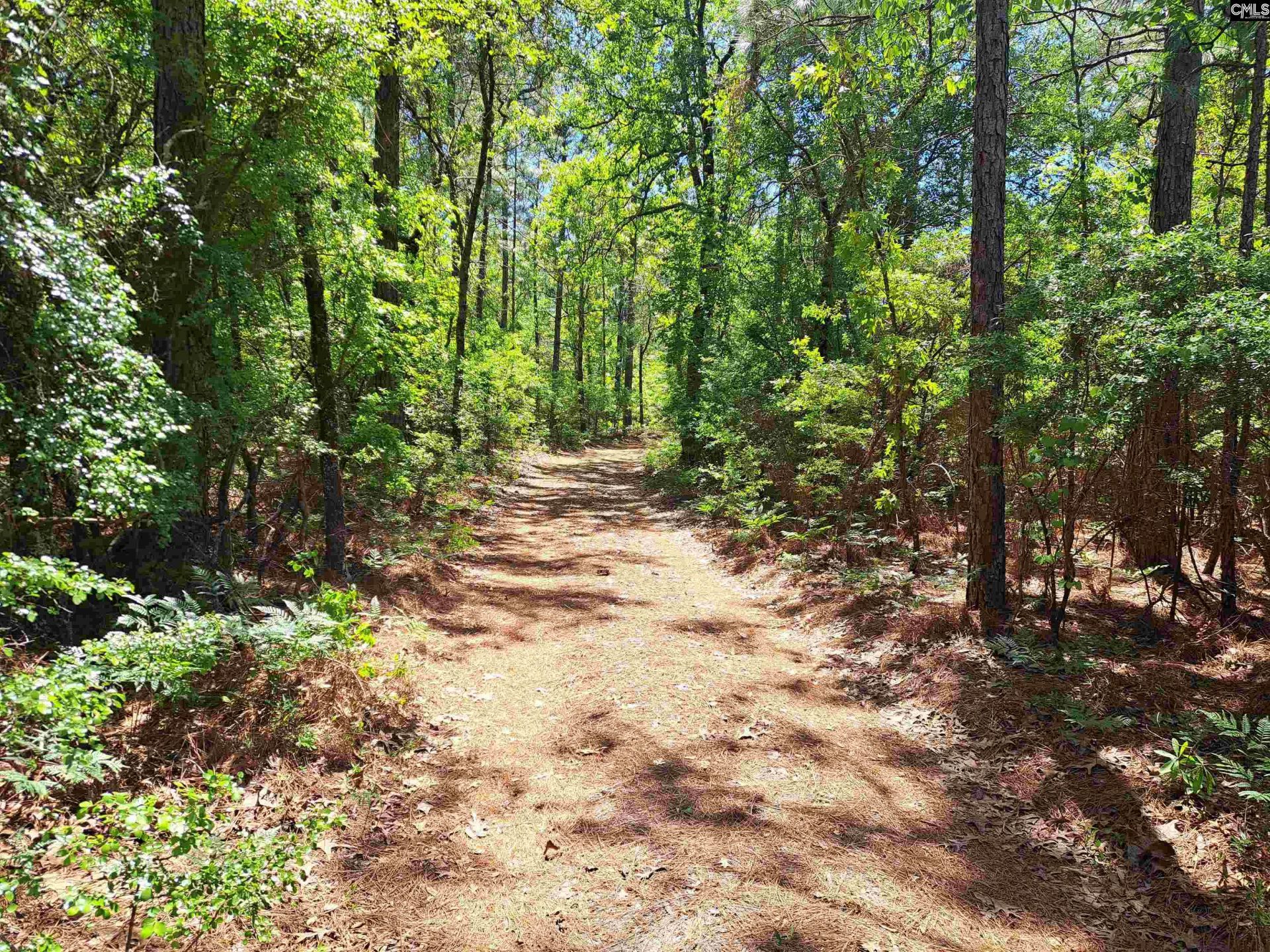 270 Migrant Camp Road  Photo 26