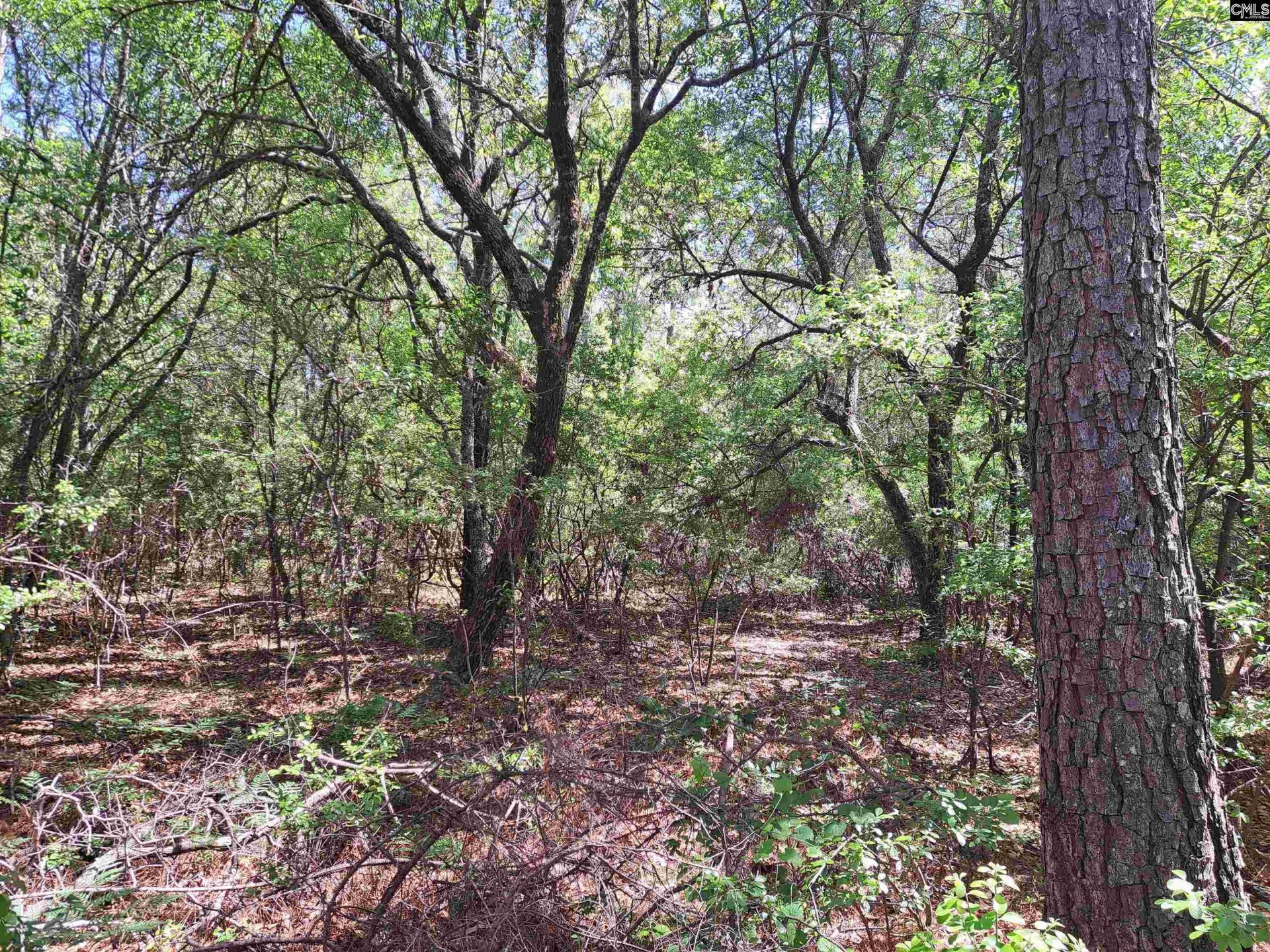 270 Migrant Camp Road  Photo 27