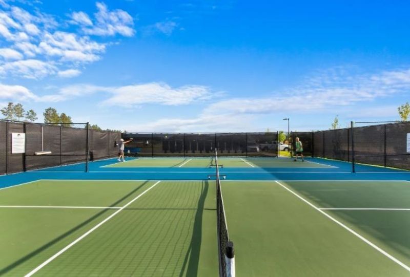 905 Sweetfern Dr  Photo 6