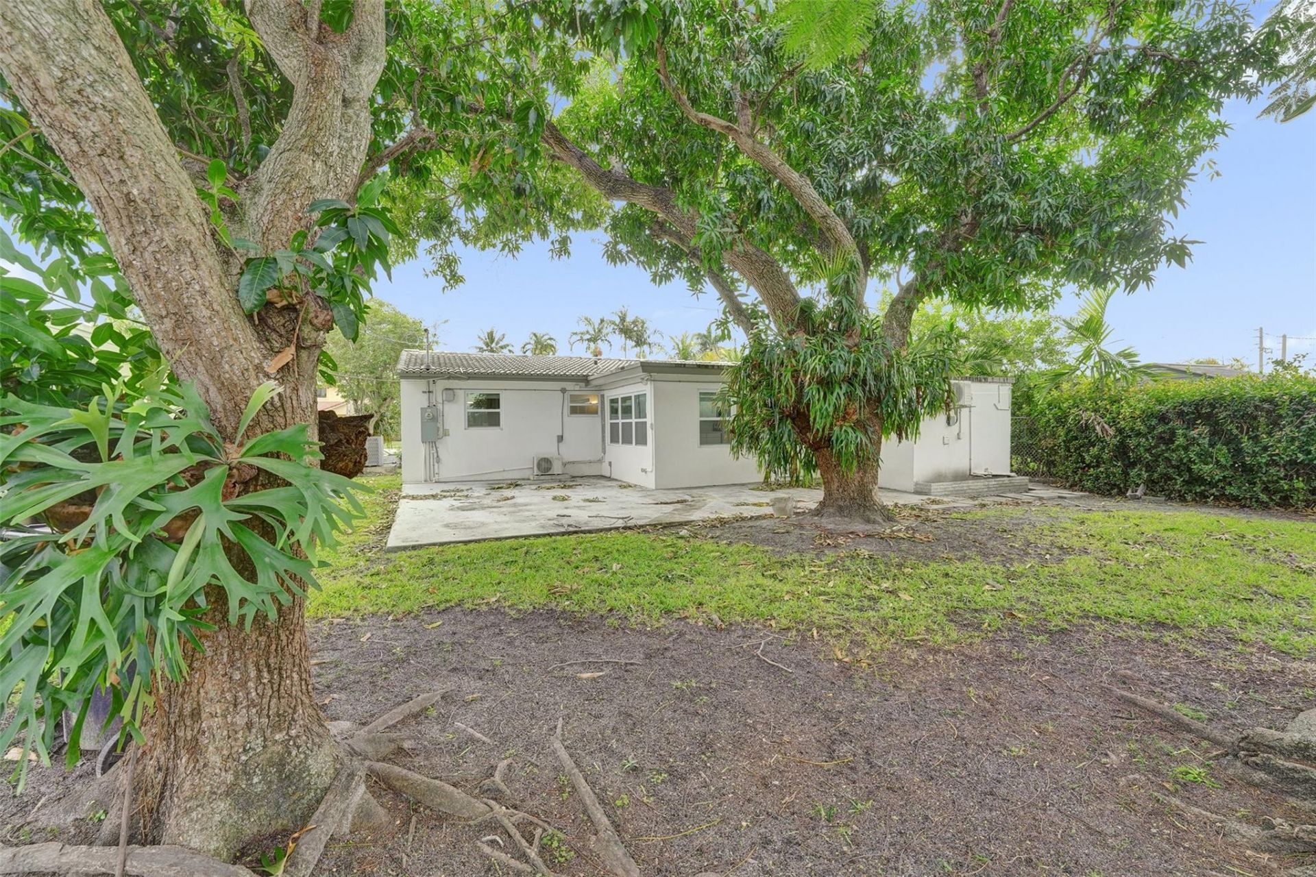 1423 Garfield Street, Hollywood, FL 33020 Photo