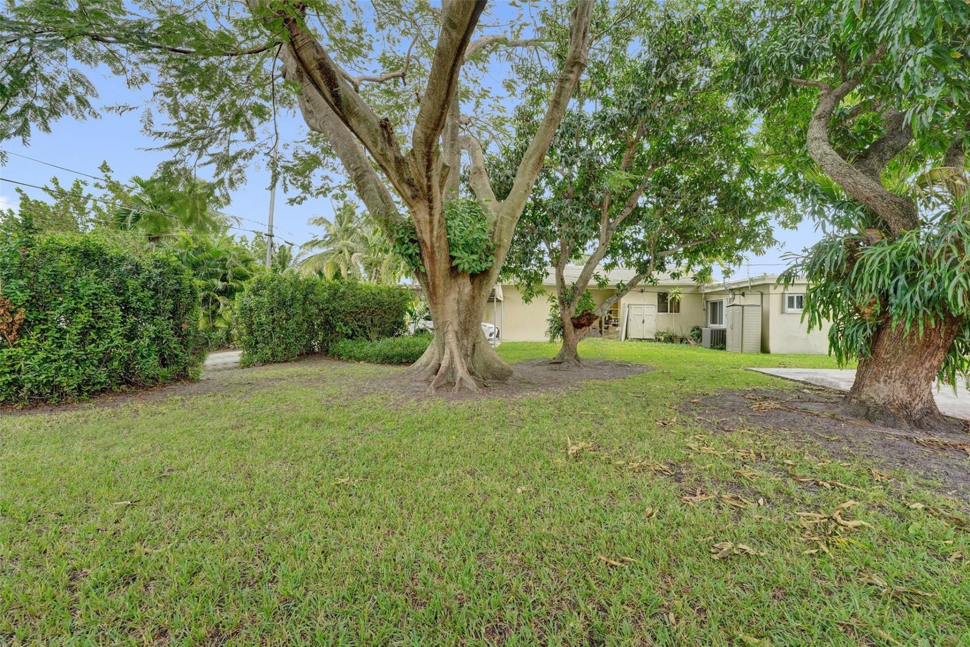 1423 Garfield Street, Hollywood, FL 33020 Photo