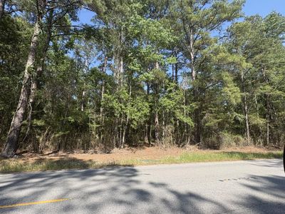 00 Clubhouse Road, Ravenel, SC 29470