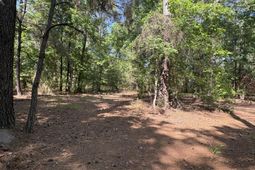 00 Clubhouse Road photo 4