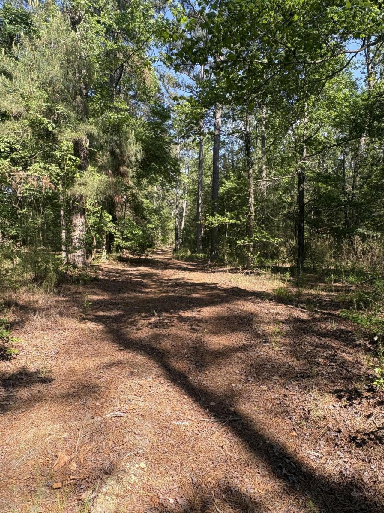 00 Clubhouse Road Photo 4