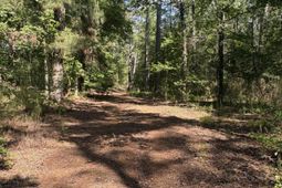 00 Clubhouse Road photo 4