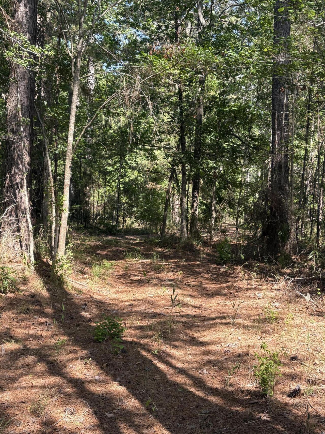 00 Clubhouse Road Photo 5