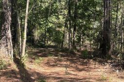 00 Clubhouse Road photo 4