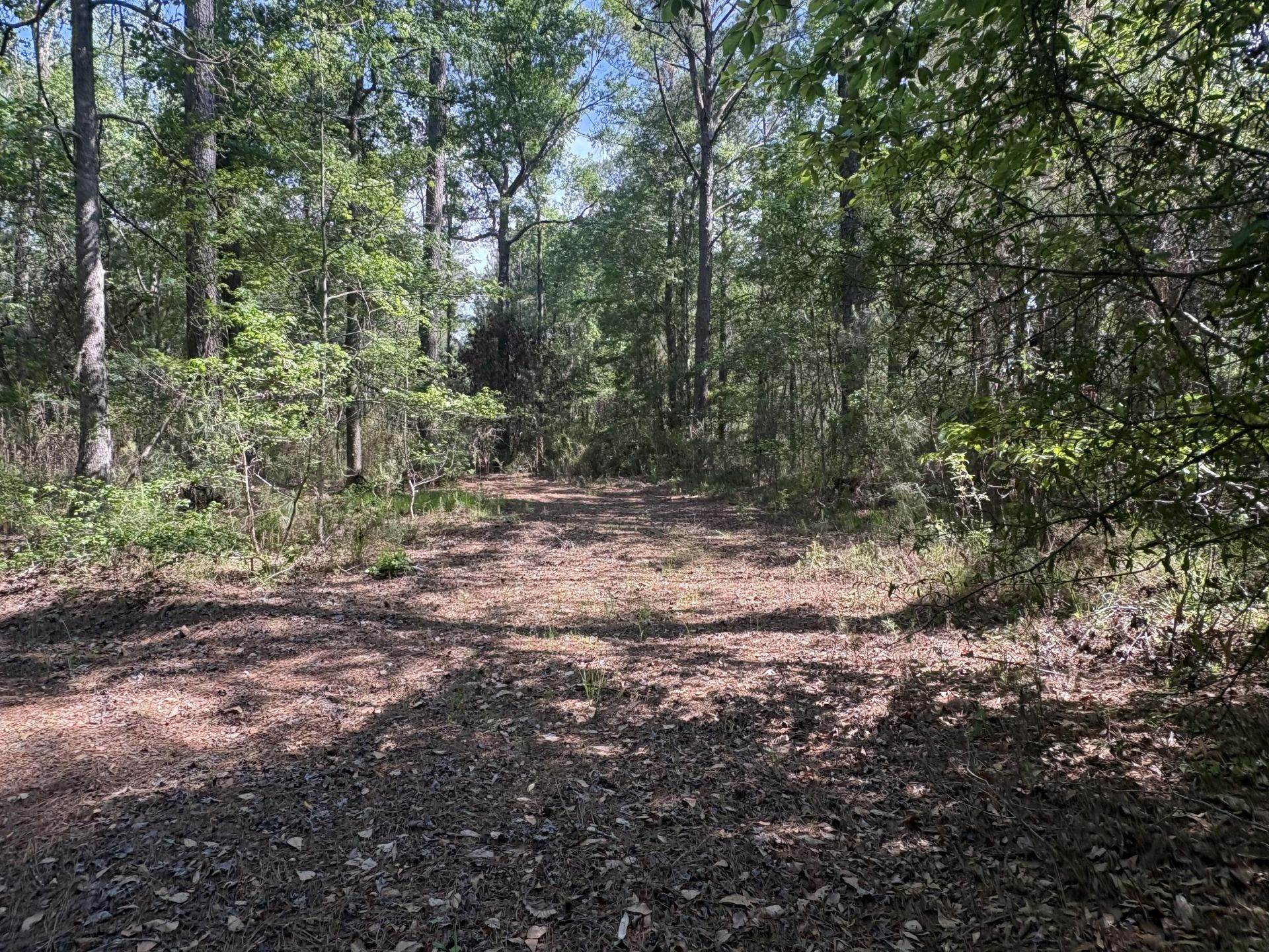 00 Clubhouse Road Photo 6