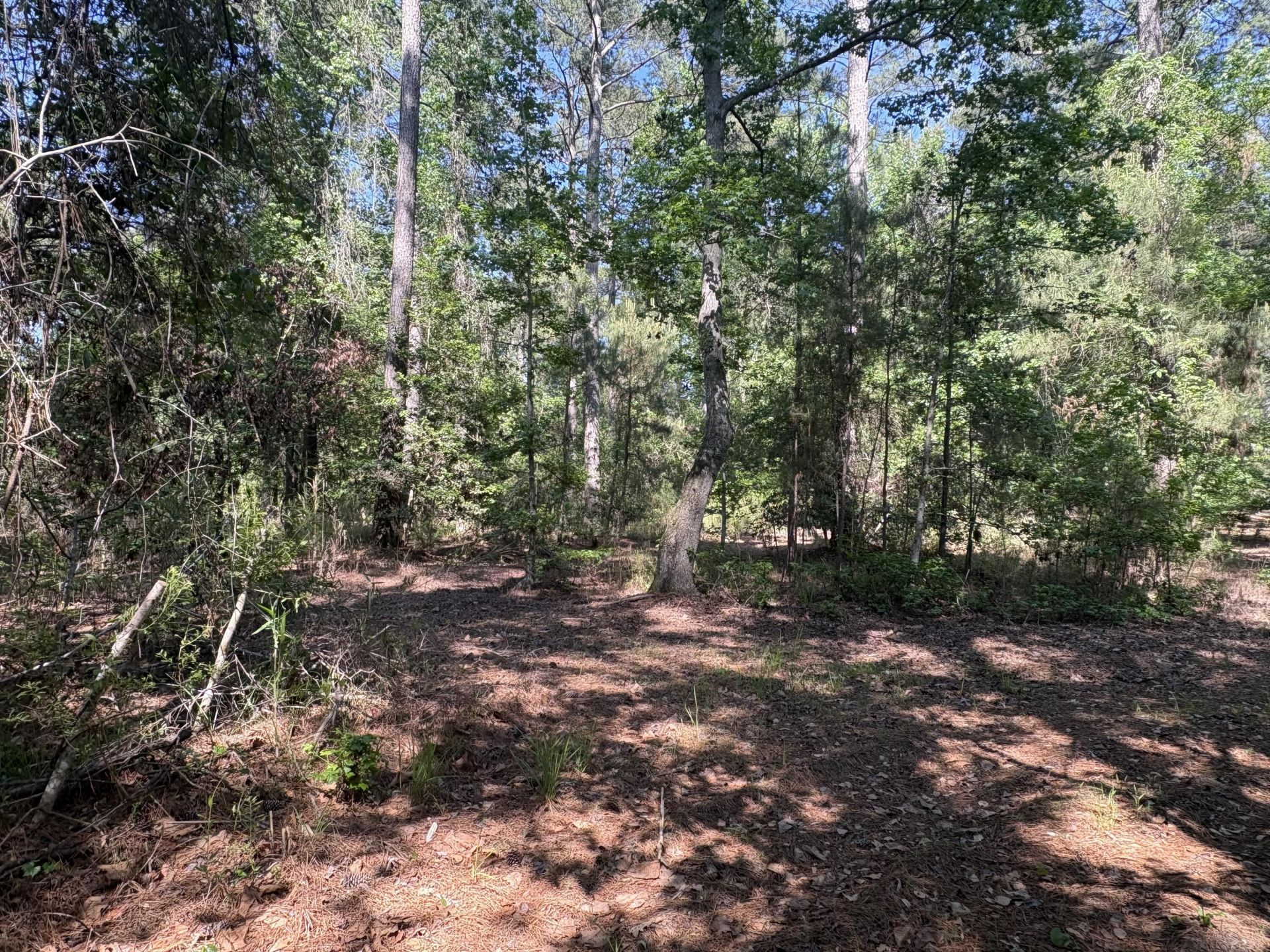 00 Clubhouse Road Photo 7