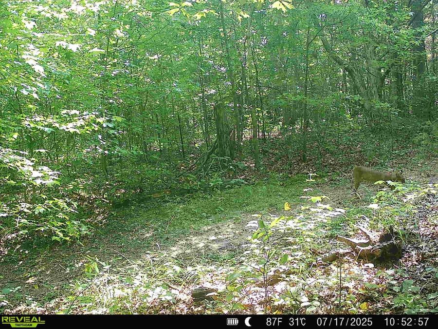 Property Image 47