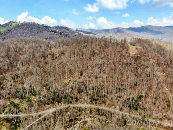 TBD Buckeye Road , Elk Park, NC 28622
