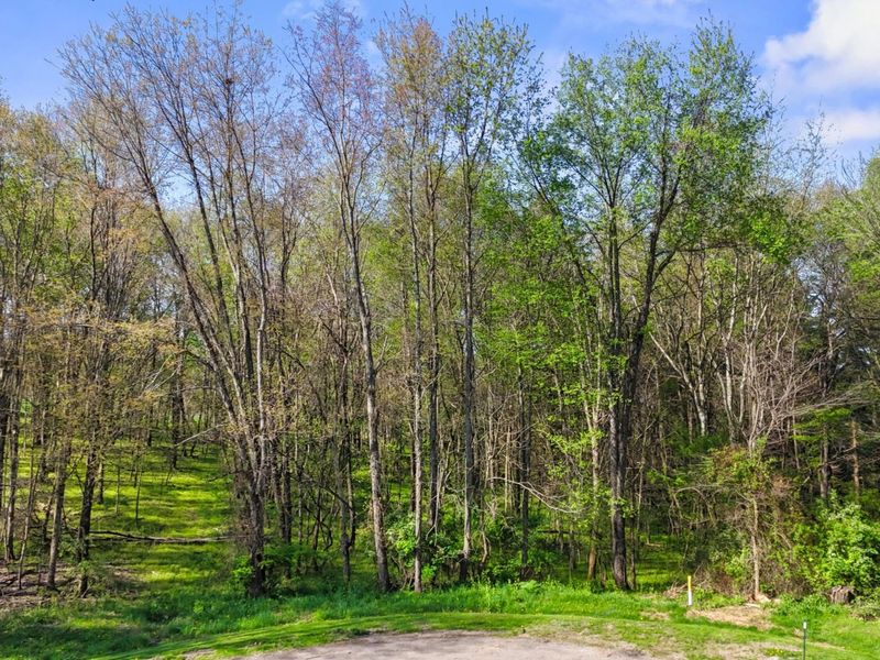 0 Orchard View Court , Unit Lot 167, Howard, OH 43028 Photo 11