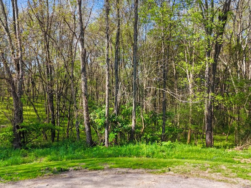 0 Orchard View Court , Unit Lot 167, Howard, OH 43028 Photo 12