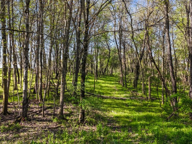 0 Orchard View Court , Unit Lot 167, Howard, OH 43028 Photo 13