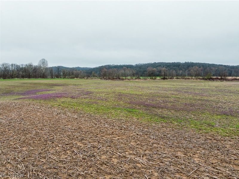 Licking Valley Road , Frazeysburg, OH 43830 Photo 2