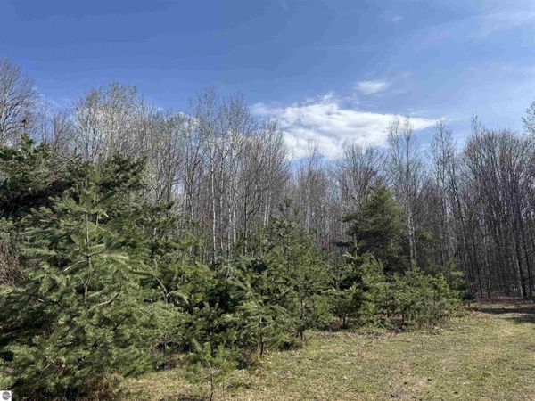 Loomis Road N, Clare, MI 48617