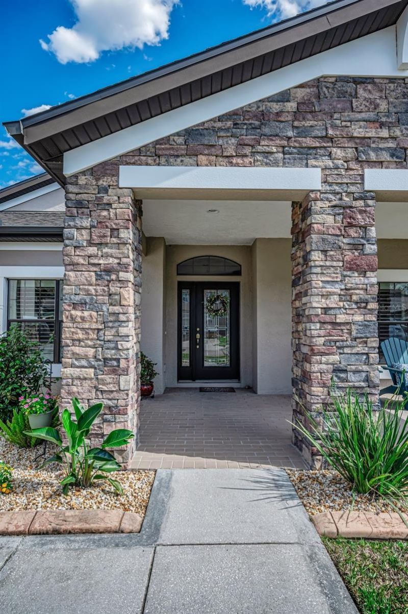 8449 Bluevine Sky Drive, Land O Lakes, FL 34637 Photo