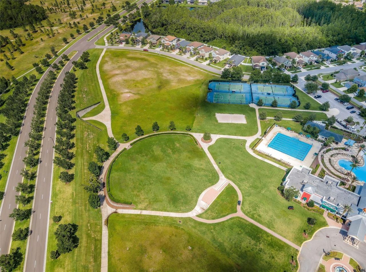 8449 Bluevine Sky Drive, Land O Lakes, FL 34637 Photo