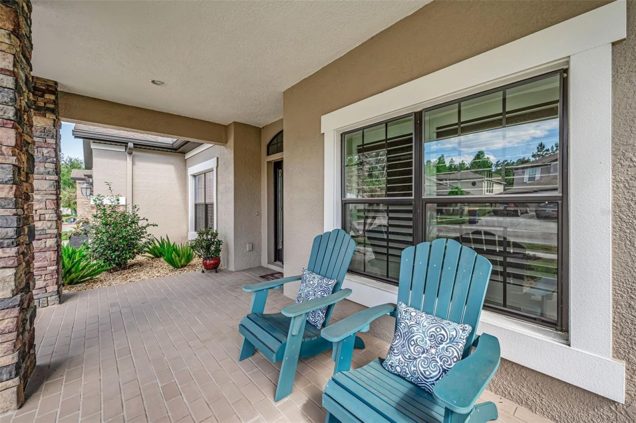 8449 Bluevine Sky Drive, Land O Lakes, FL 34637 Photo