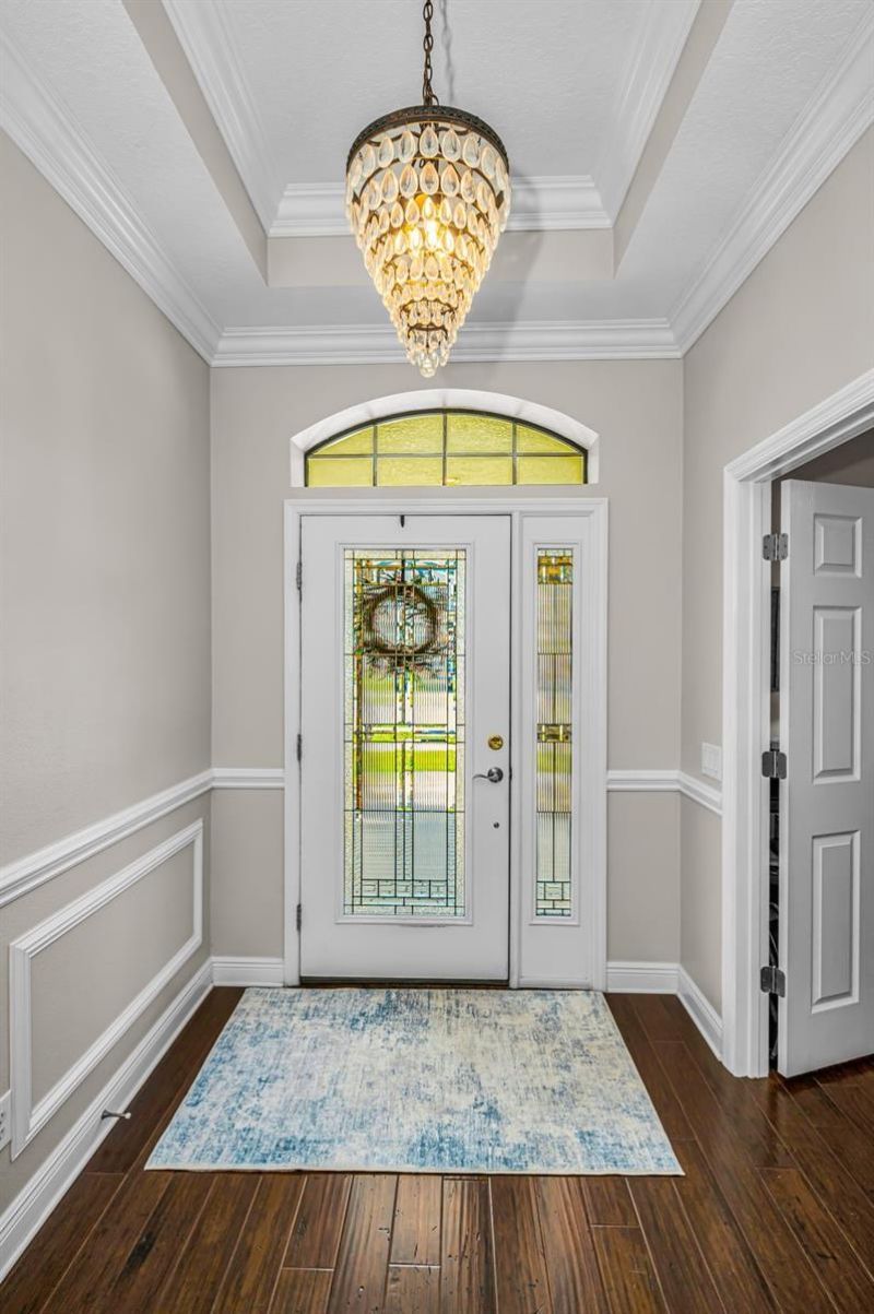 8449 Bluevine Sky Drive, Land O Lakes, FL 34637 Photo