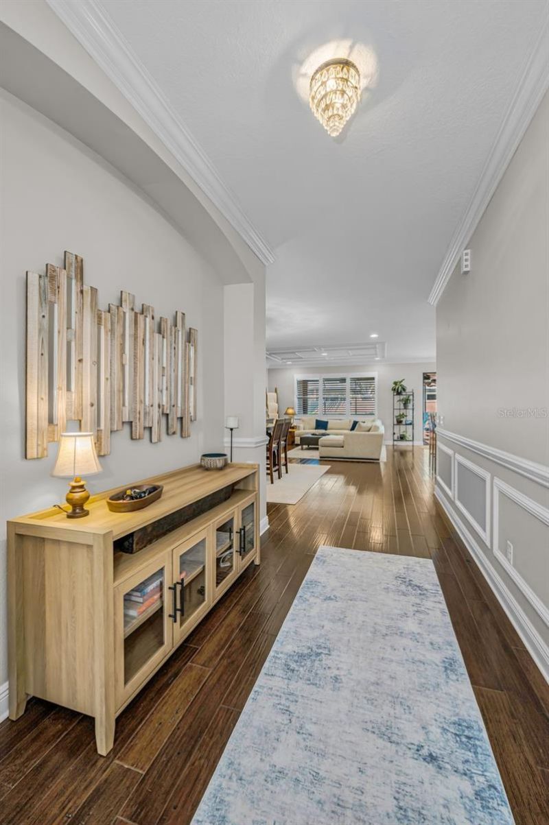 8449 Bluevine Sky Drive, Land O Lakes, FL 34637 Photo