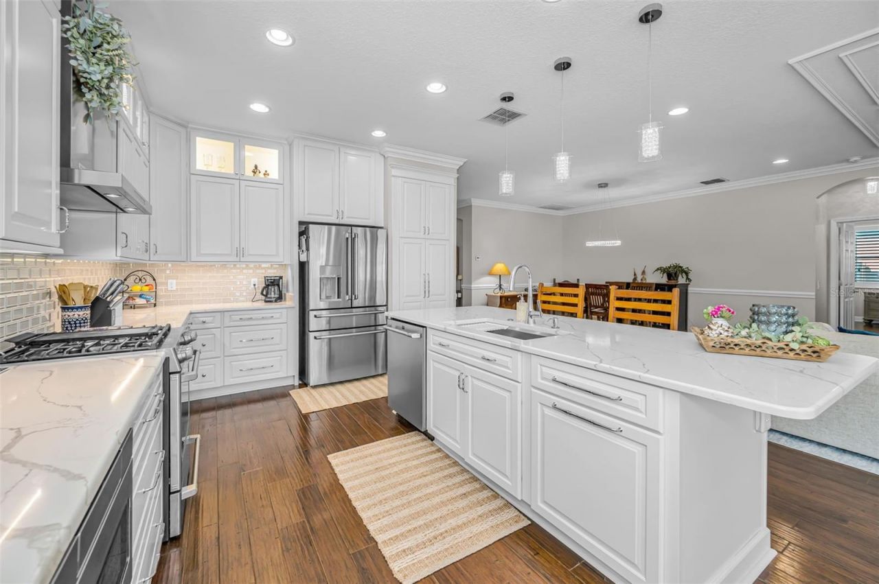 8449 Bluevine Sky Drive, Land O Lakes, FL 34637 Photo