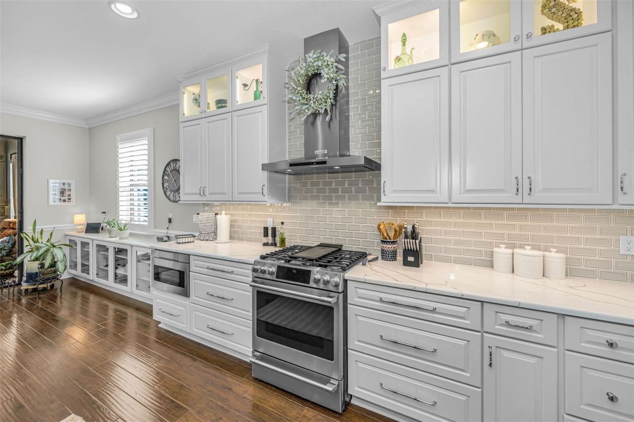 8449 Bluevine Sky Drive, Land O Lakes, FL 34637 Photo