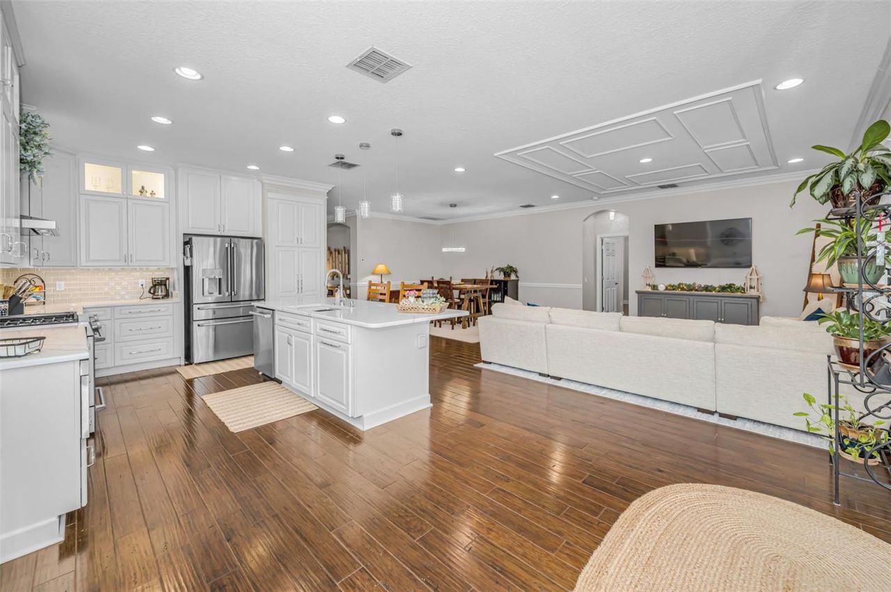 8449 Bluevine Sky Drive, Land O Lakes, FL 34637 Photo