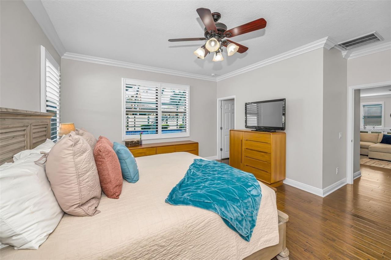 8449 Bluevine Sky Drive, Land O Lakes, FL 34637 Photo