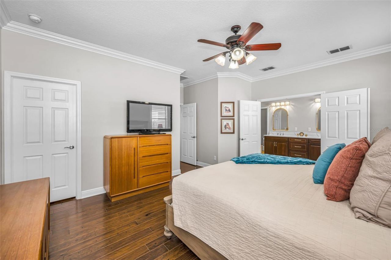 8449 Bluevine Sky Drive, Land O Lakes, FL 34637 Photo