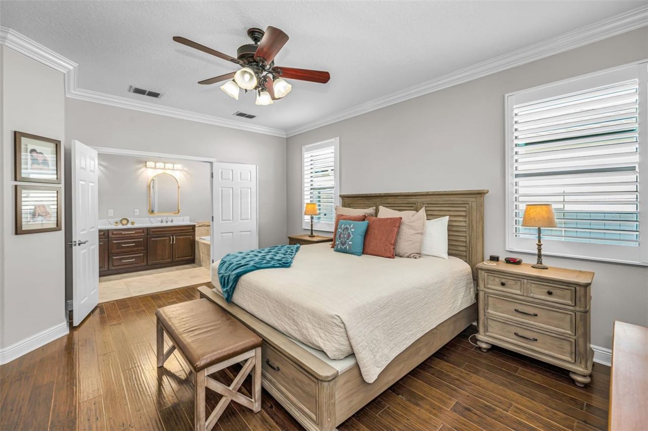 8449 Bluevine Sky Drive, Land O Lakes, FL 34637 Photo