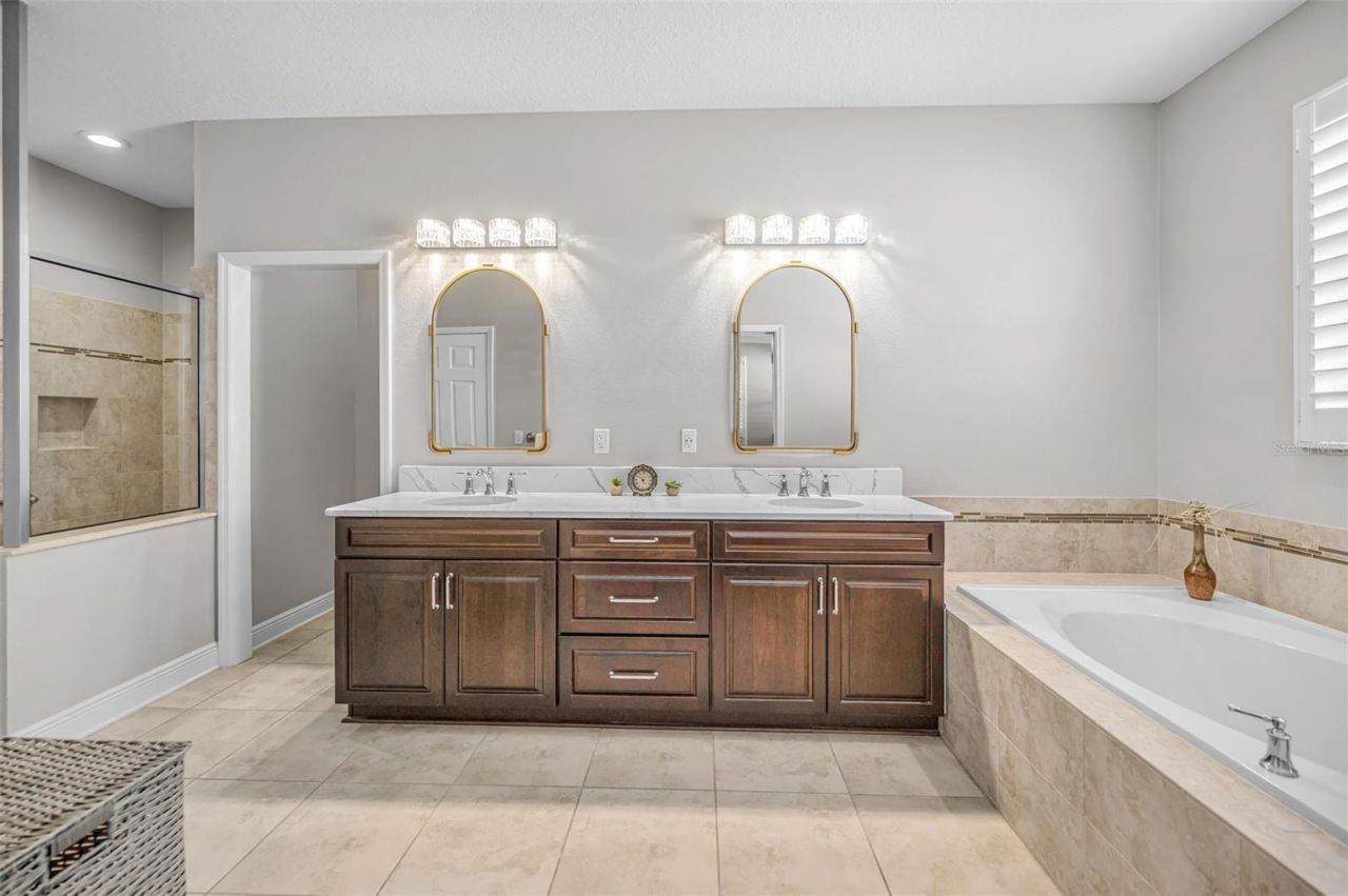 8449 Bluevine Sky Drive, Land O Lakes, FL 34637 Photo