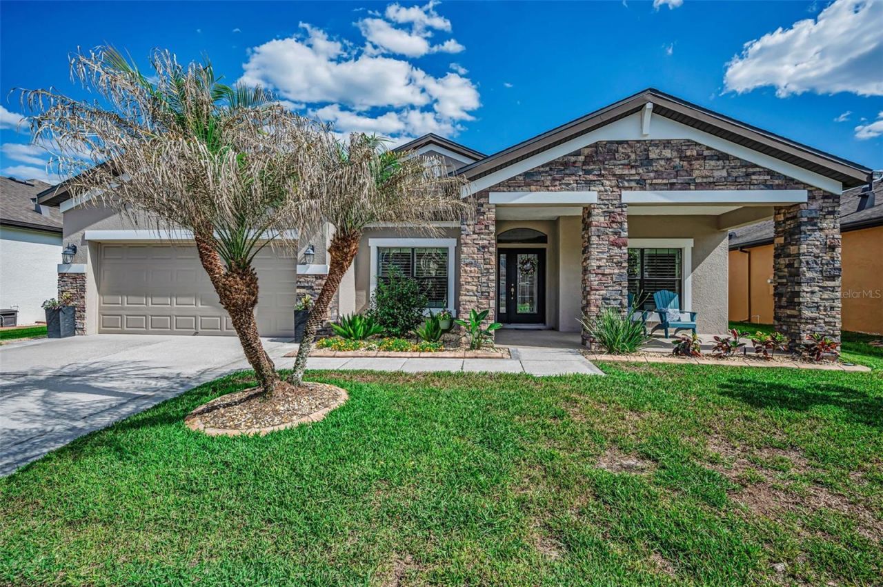 8449 Bluevine Sky Drive, Land O Lakes, FL 34637 Photo