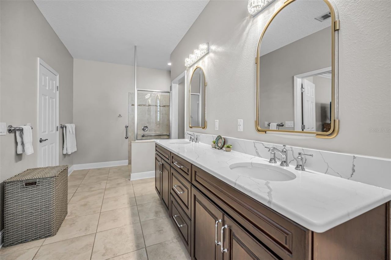 8449 Bluevine Sky Drive, Land O Lakes, FL 34637 Photo