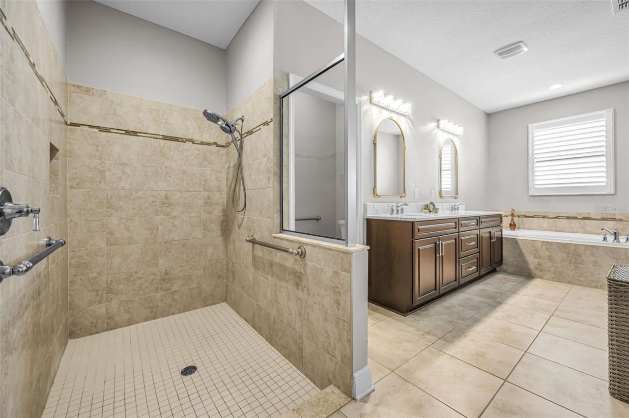 8449 Bluevine Sky Drive, Land O Lakes, FL 34637 Photo