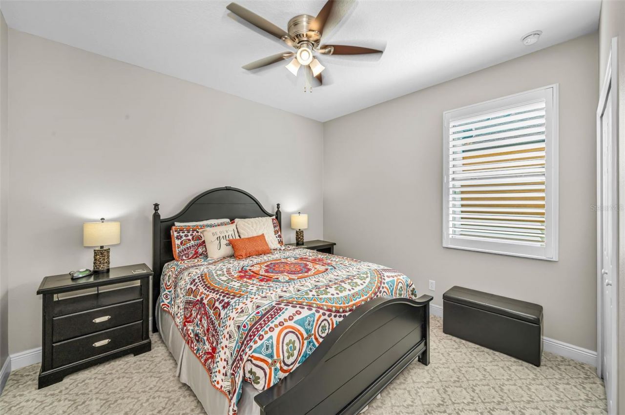 8449 Bluevine Sky Drive, Land O Lakes, FL 34637 Photo