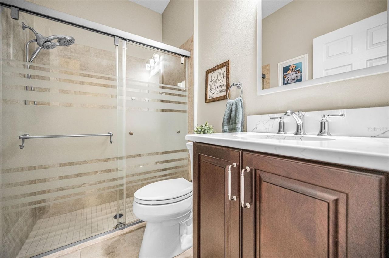 8449 Bluevine Sky Drive, Land O Lakes, FL 34637 Photo