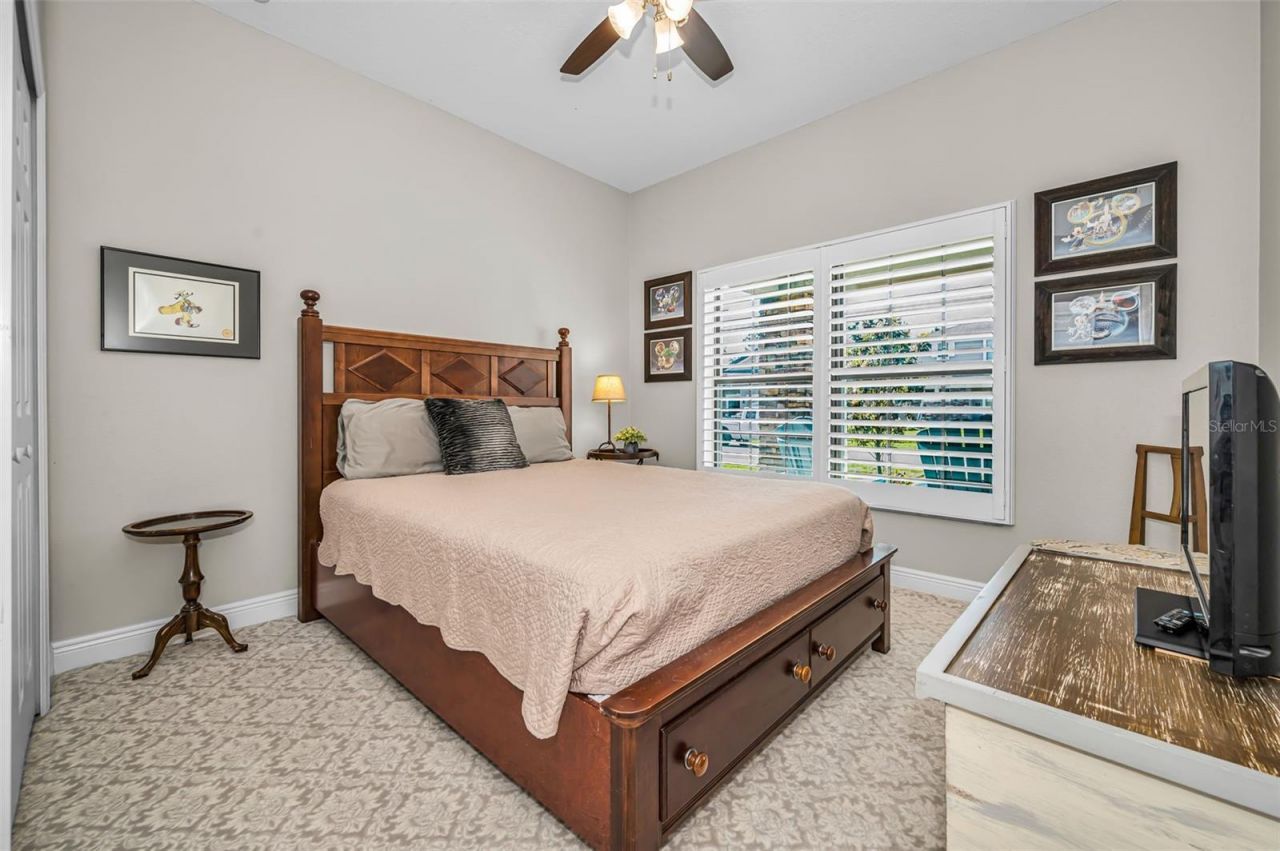 8449 Bluevine Sky Drive, Land O Lakes, FL 34637 Photo