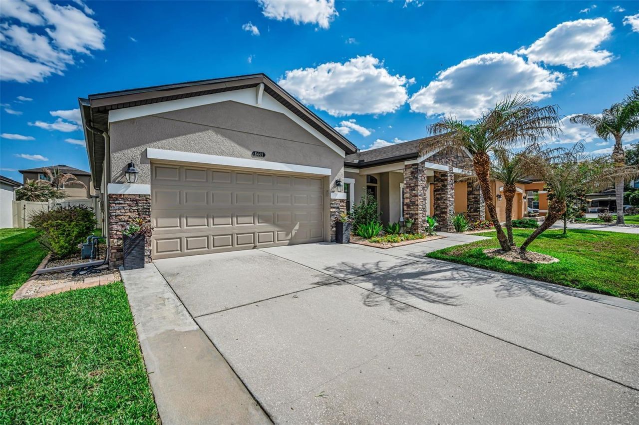 8449 Bluevine Sky Drive, Land O Lakes, FL 34637 Photo