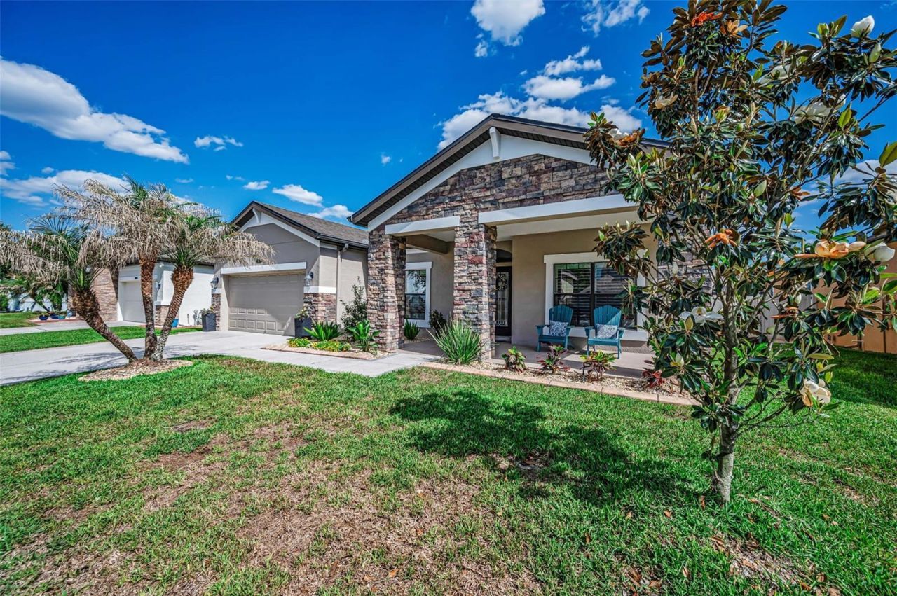 8449 Bluevine Sky Drive, Land O Lakes, FL 34637 Photo