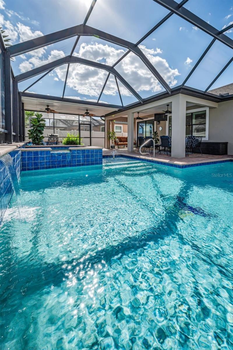 8449 Bluevine Sky Drive, Land O Lakes, FL 34637 Photo