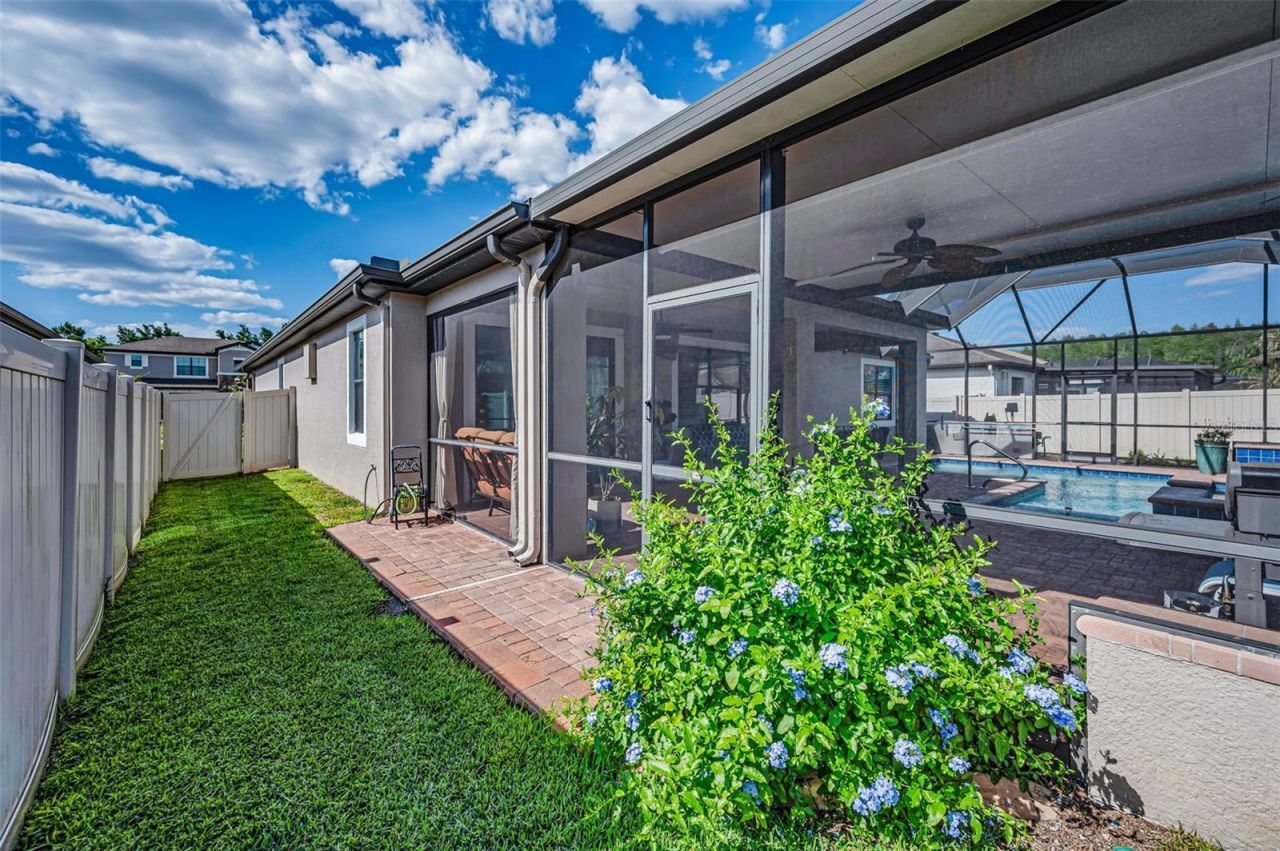 8449 Bluevine Sky Drive, Land O Lakes, FL 34637 Photo