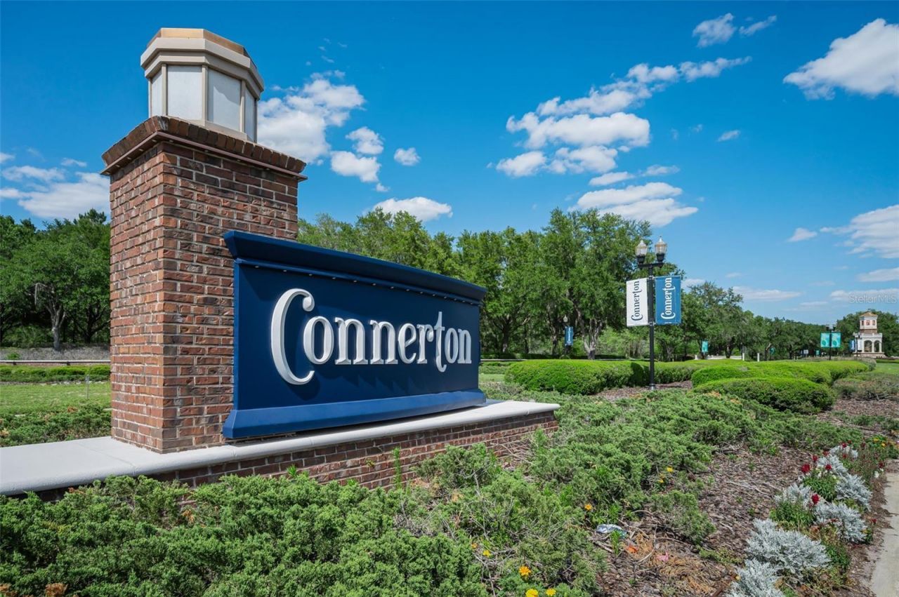 8449 Bluevine Sky Drive, Land O Lakes, FL 34637 Photo