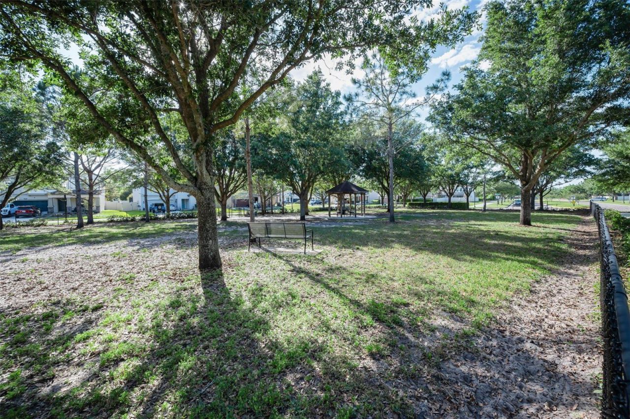 8449 Bluevine Sky Drive, Land O Lakes, FL 34637 Photo