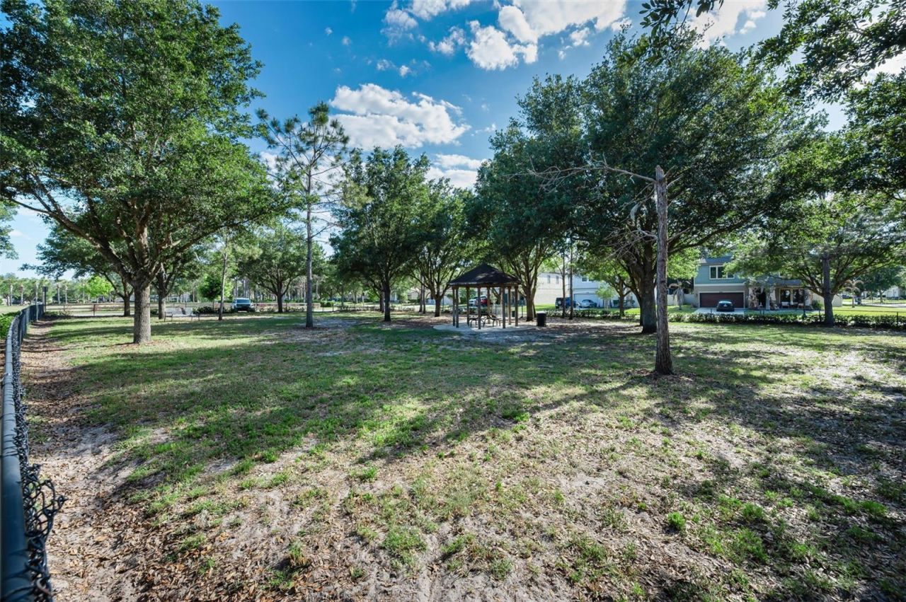 8449 Bluevine Sky Drive, Land O Lakes, FL 34637 Photo