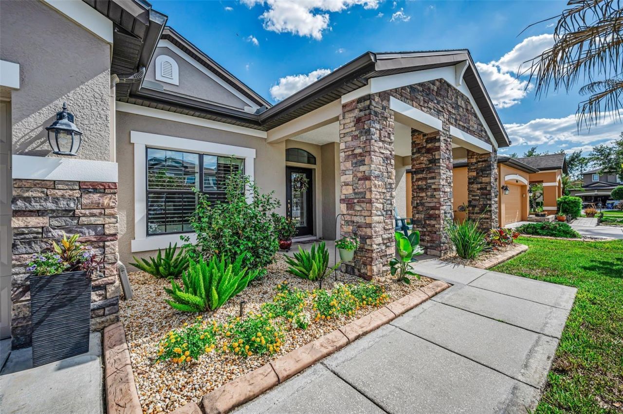 8449 Bluevine Sky Drive, Land O Lakes, FL 34637 Photo