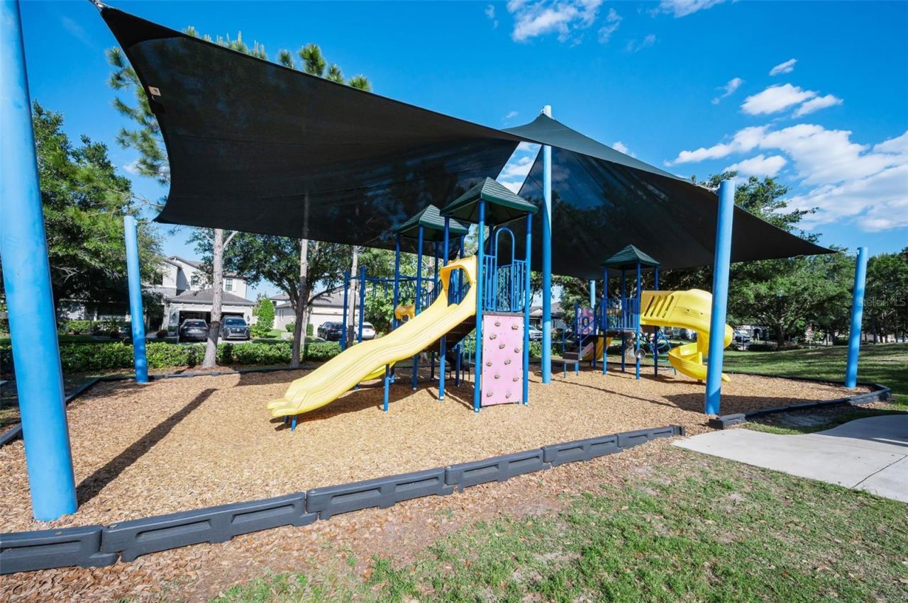 8449 Bluevine Sky Drive, Land O Lakes, FL 34637 Photo