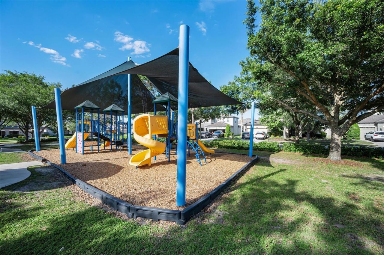 8449 Bluevine Sky Drive, Land O Lakes, FL 34637 Photo