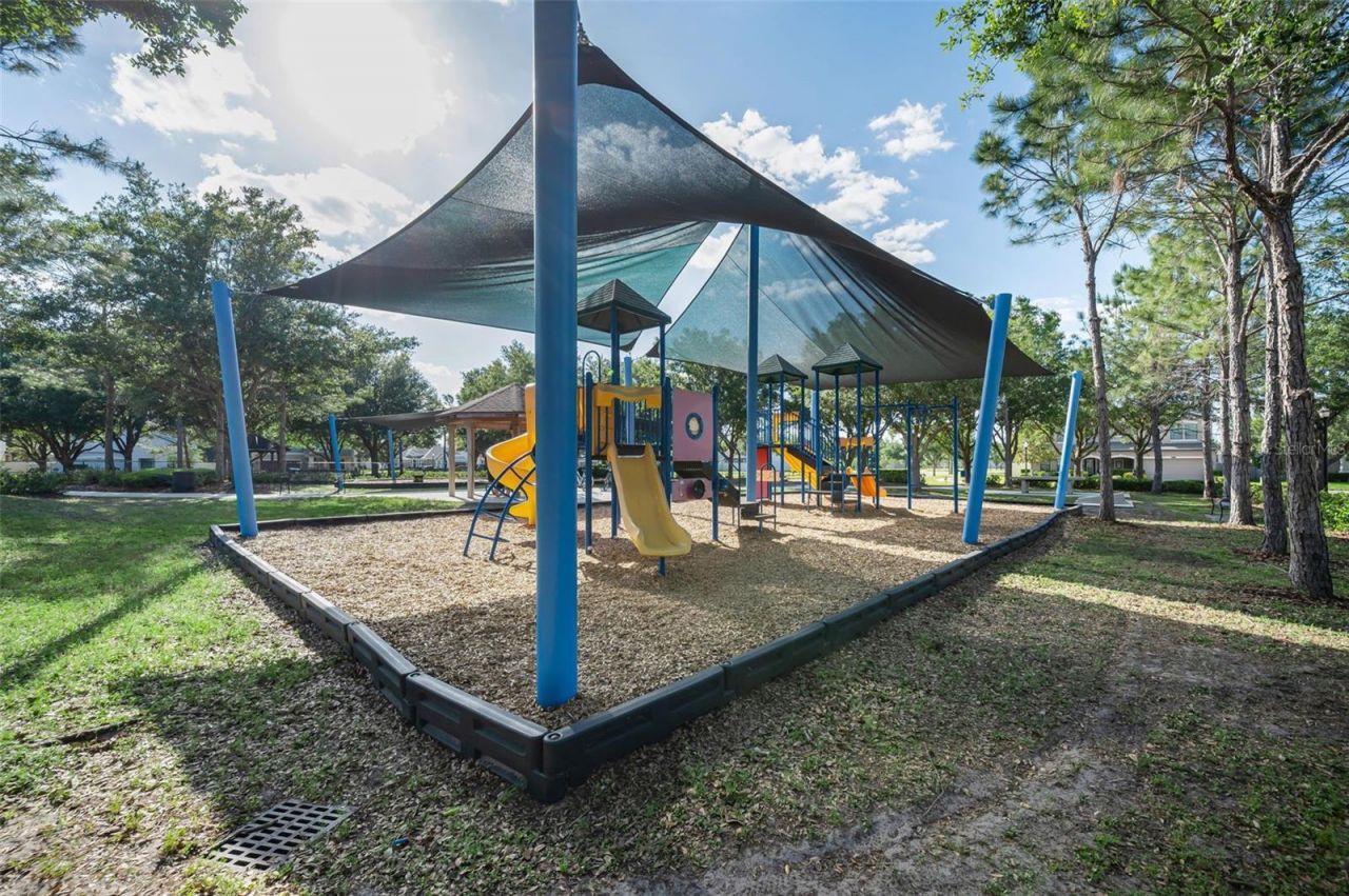 8449 Bluevine Sky Drive, Land O Lakes, FL 34637 Photo